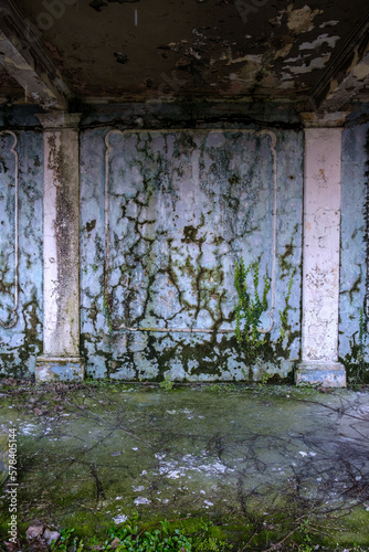 wall overgrown with moss and ivy in an abandoned building photo