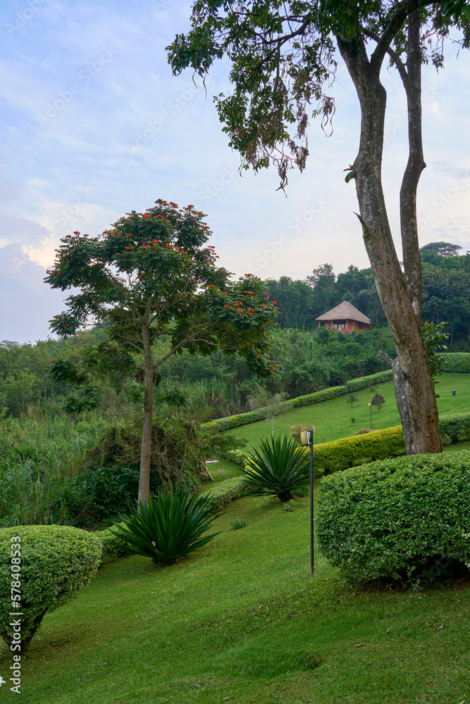 Hillside views above Fort Portal, Uganda