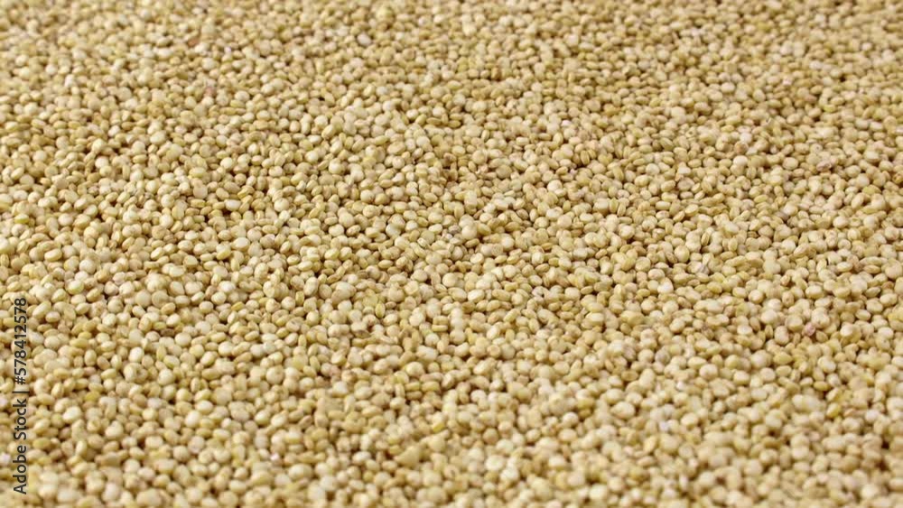 White quinoa uncooked seeds texture rotation close up White quinoa uncooked seeds texture rotation close up