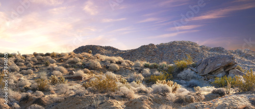 Californian desert - Anza-Borrego. Anza-Borrego Desert State Park, Southern California, USA. photo