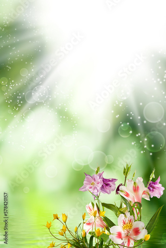 beautiful flowers on abstract blurred green background