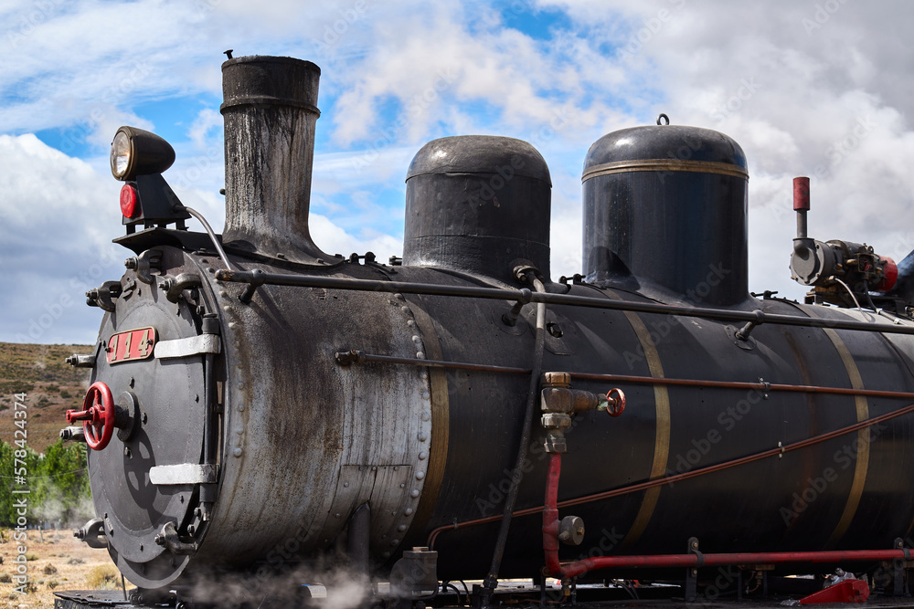 Naklejka premium Old Patagonian Express Train 