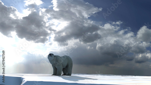 Polar bear wondering on small ice chunk  clouds and rays  Polar bear in extinction concept  north pole  global warming  2023 