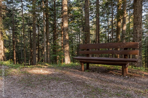 Lonely bench in a forest © giadophoto