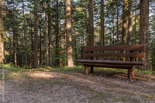 Lonely bench in a forest