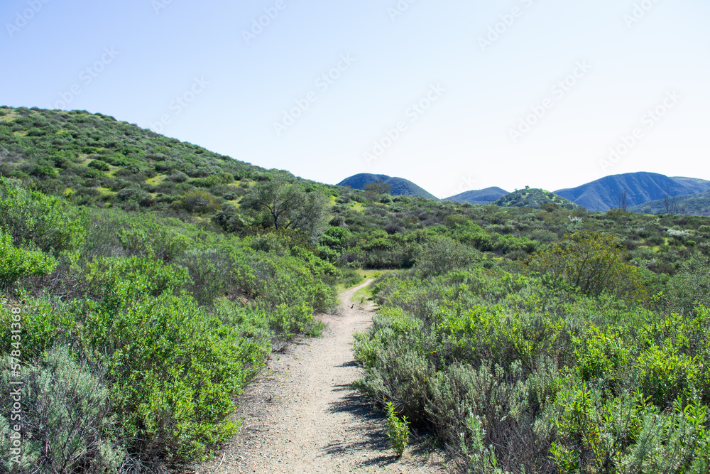 Vast mountain path landscape nature plants Vast mountain path landscape nature plants