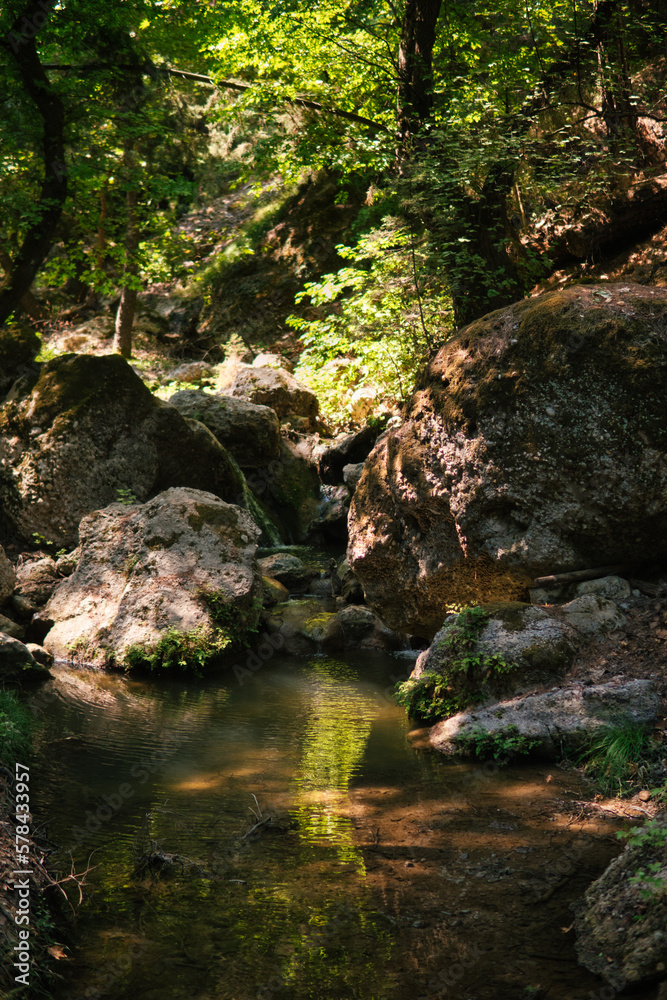 small stream in a valley with trees and large stones