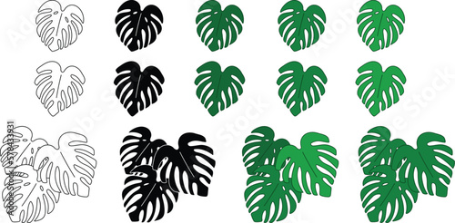 Monstera Plant Leaf Clipart Set - Outline, Silhouette and Color