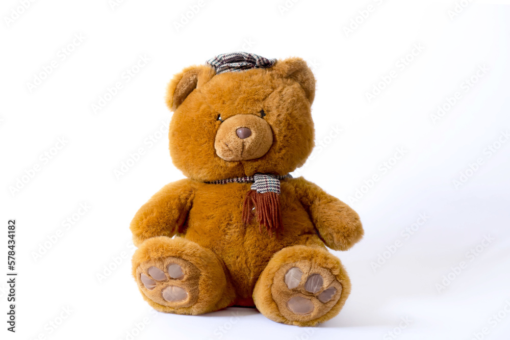 Obraz premium Urso de Pelúcia