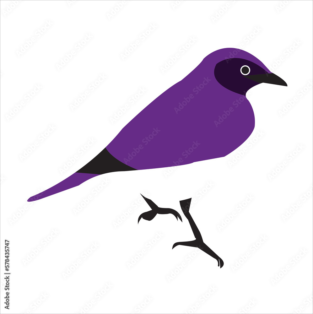 Obraz premium blue bird on a branch