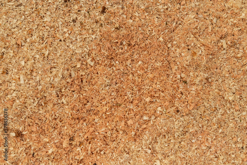 sciure de bois