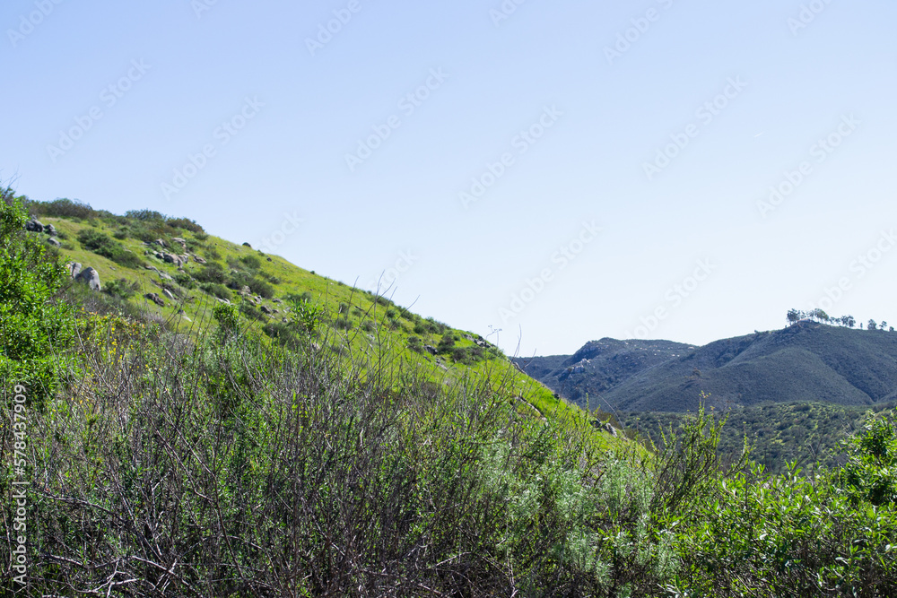 Fototapeta premium Vast mountain landscape nature plants