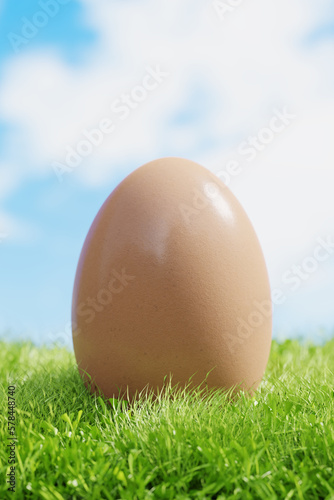 Brown egg in the grass on a meadow. 3d render.