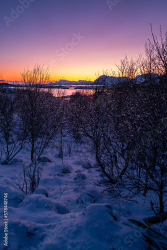 Iles lofoten