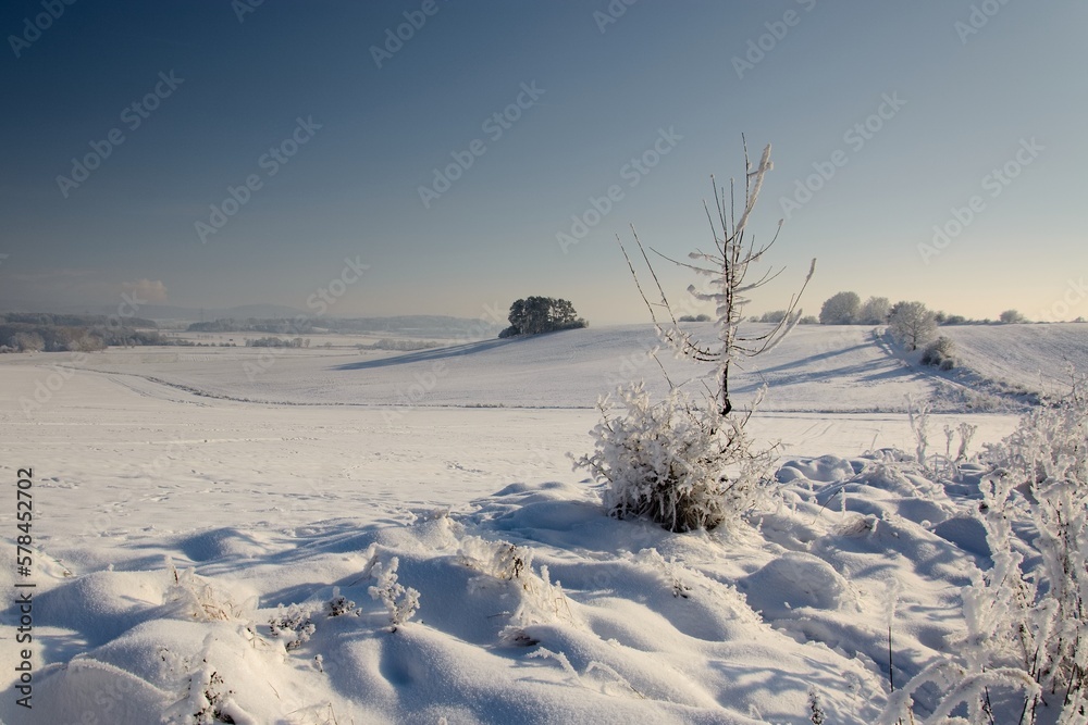 Winter snow-covered South Bohemian landscape Winter snow-covered South Bohemian landscape