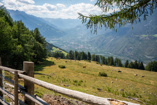 Bergpanorama in Südtirol, weiter Blick auf die Alpen und das grüne Tal mit Bäumen und Almwiesen