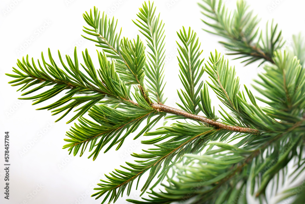 Spruce branch isolated on white background. Green fir. Realistic Christmas tree llustration for Xmas cards, New year party posters. Generative ai