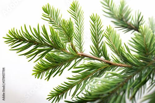 Spruce branch isolated on white background. Green fir. Realistic Christmas tree llustration for Xmas cards  New year party posters. Generative ai