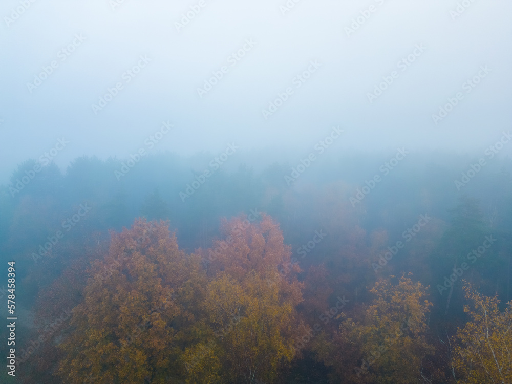 Panoramic aerial view of forest with morning fog in autumn or fall, shot taken by a drone. High quality photo Panoramic aerial view of forest with morning fog in autumn or fall, shot taken by a drone. High quality photo
