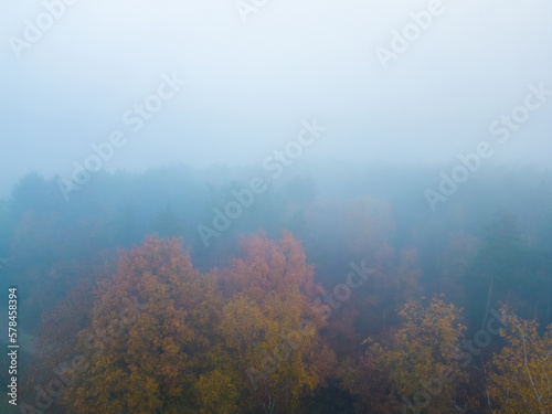 Panoramic aerial view of forest with morning fog in autumn or fall, shot taken by a drone. High quality photo