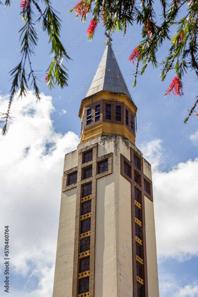 O topo da Catedral Metropolitana de Goiânia entre galhos floridos com céu azul ao fundo.