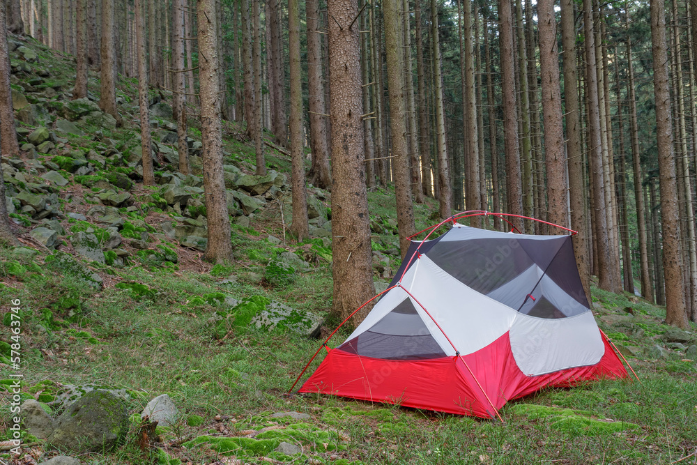 Lightweight freestanding three-season 2-person tent, inner tent body without rainfly, on forest in the evening in spruce forest  in Beskid Mountains