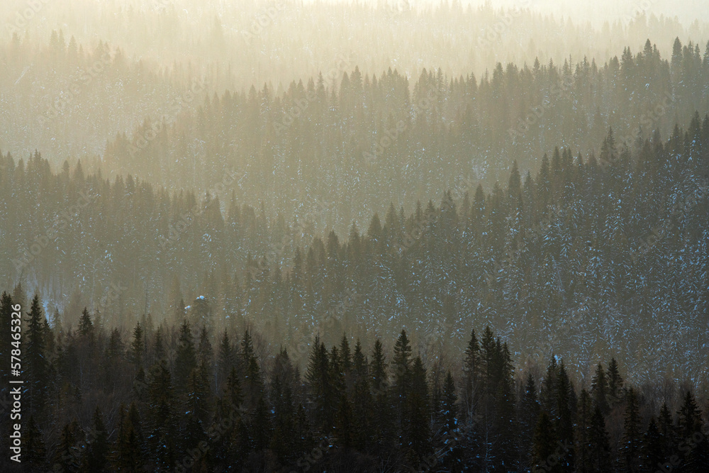 Foggy winter  sunrise, snowy forest at Northern Ural mountains
