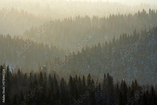 Foggy winter sunrise, snowy forest at Northern Ural mountains