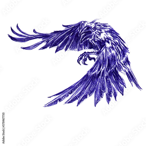 Flying raven closeup. Hand drawn sketch with ballpoint pen on paper texture. Isolated on white. Bitmap