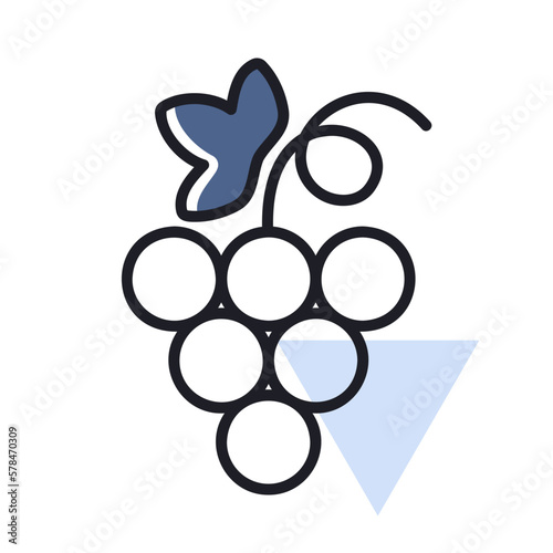 Bunch of grapes with leaf vector icon