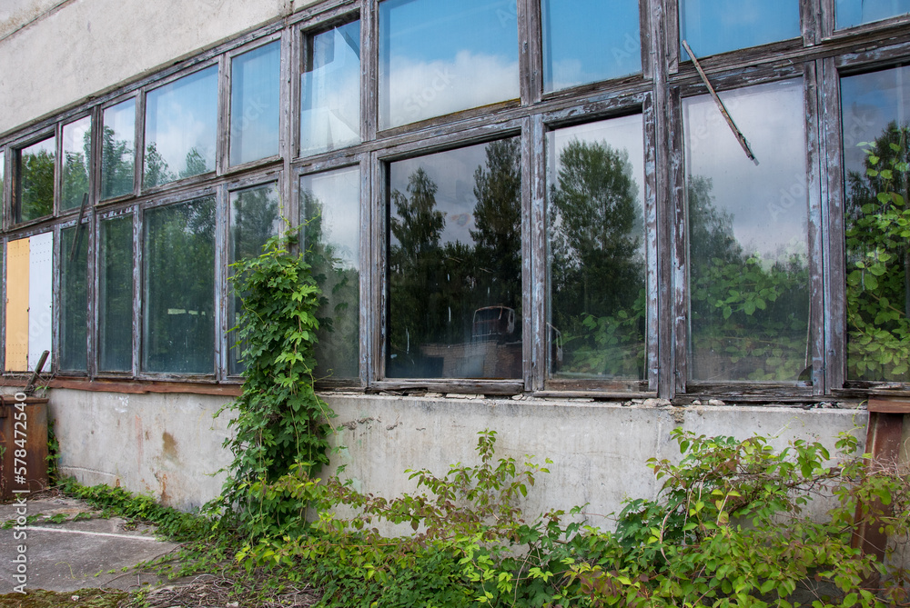Windows in bild. Abandoned car fleet. Dump of rusty old vehicles, in Chernobyl, Ukraine - Julia 4 2021