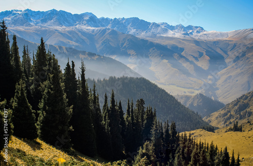 Mountain gorge with firs on steep slopes in September. © okyela