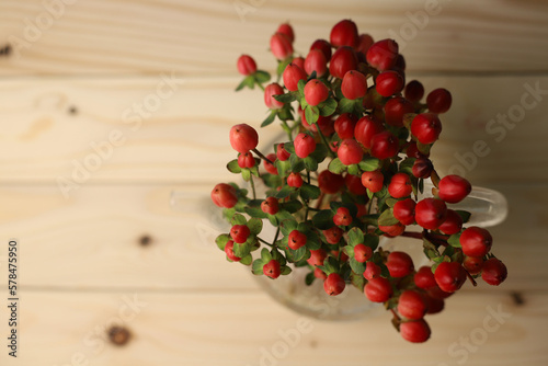 exotic hypericum flower or hypericum of red pink color in a transparent teapot on an orange-blue and beige-brown background in the style of the 70s