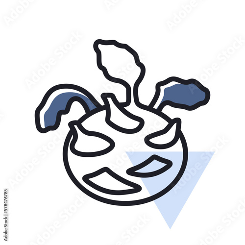 Kohlrabi or German Turnip isolated vector icon