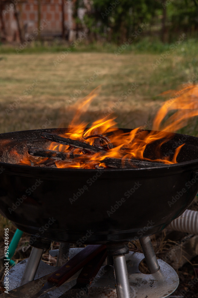 Fire flame texture on barbecue and behind green blurred background Fire flame texture on barbecue and behind green blurred background