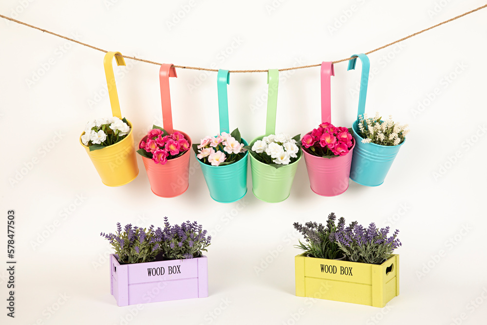 Maceteros de colores variados con flores y cajas con lavanda. - obrazy, fototapety, plakaty 