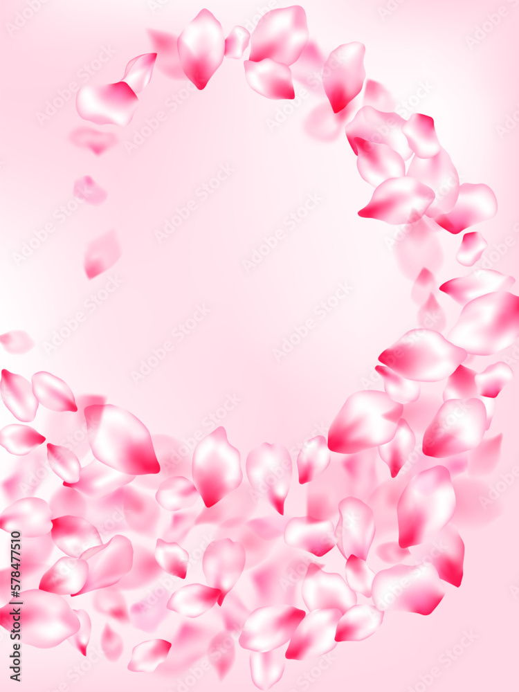 Pink sakura petals confetti flying and falling