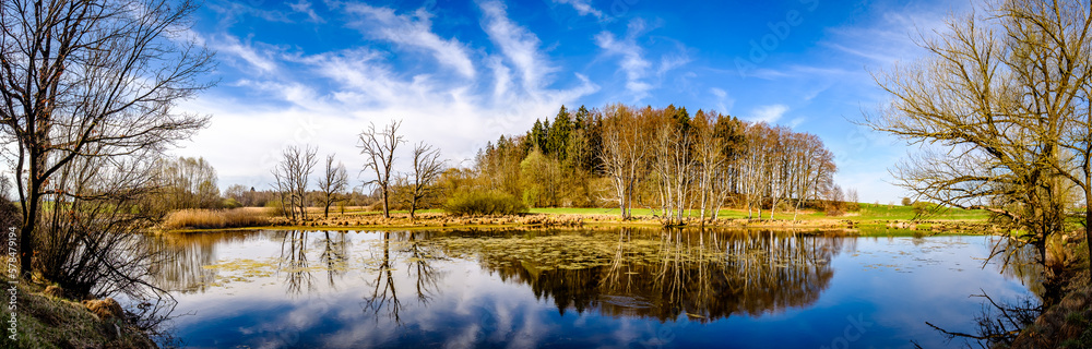 Obraz premium tree at a lake in austria