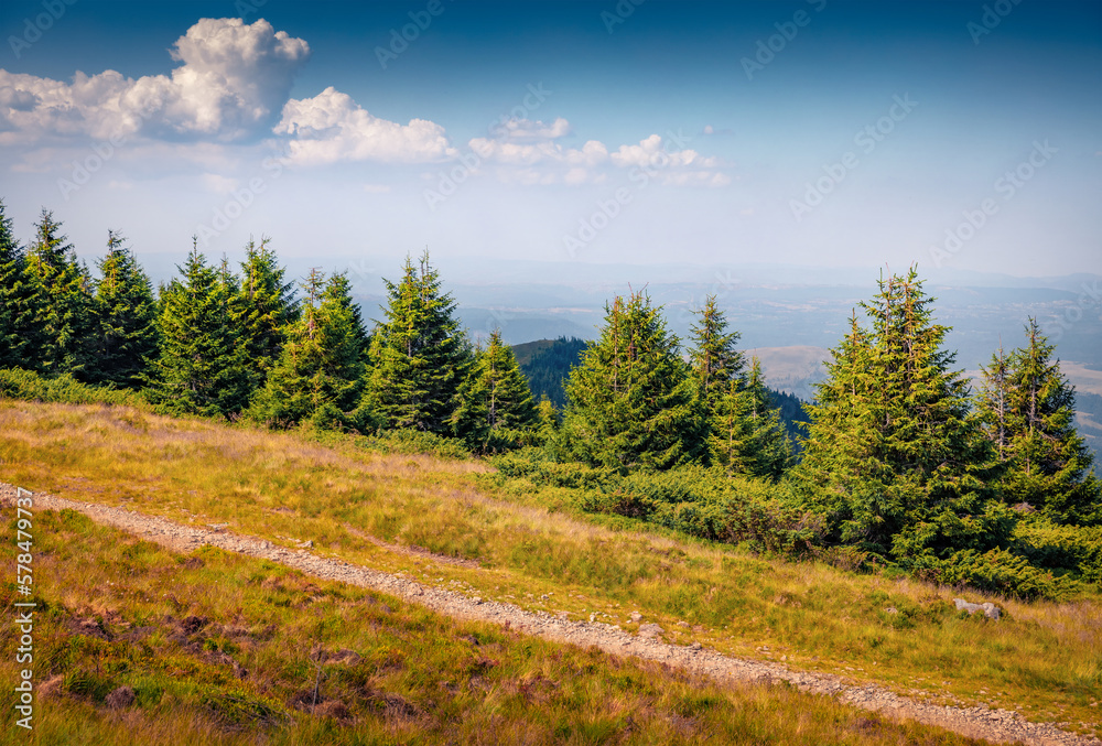 Splendid summer Vladeasa mountain range, Cluj County, Romania. Attractive summer scene of Apuseni Mountains at July. Beauty of countryside concept background.