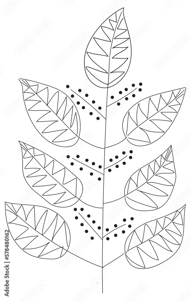 Line drawing of branch of leaves and seeds