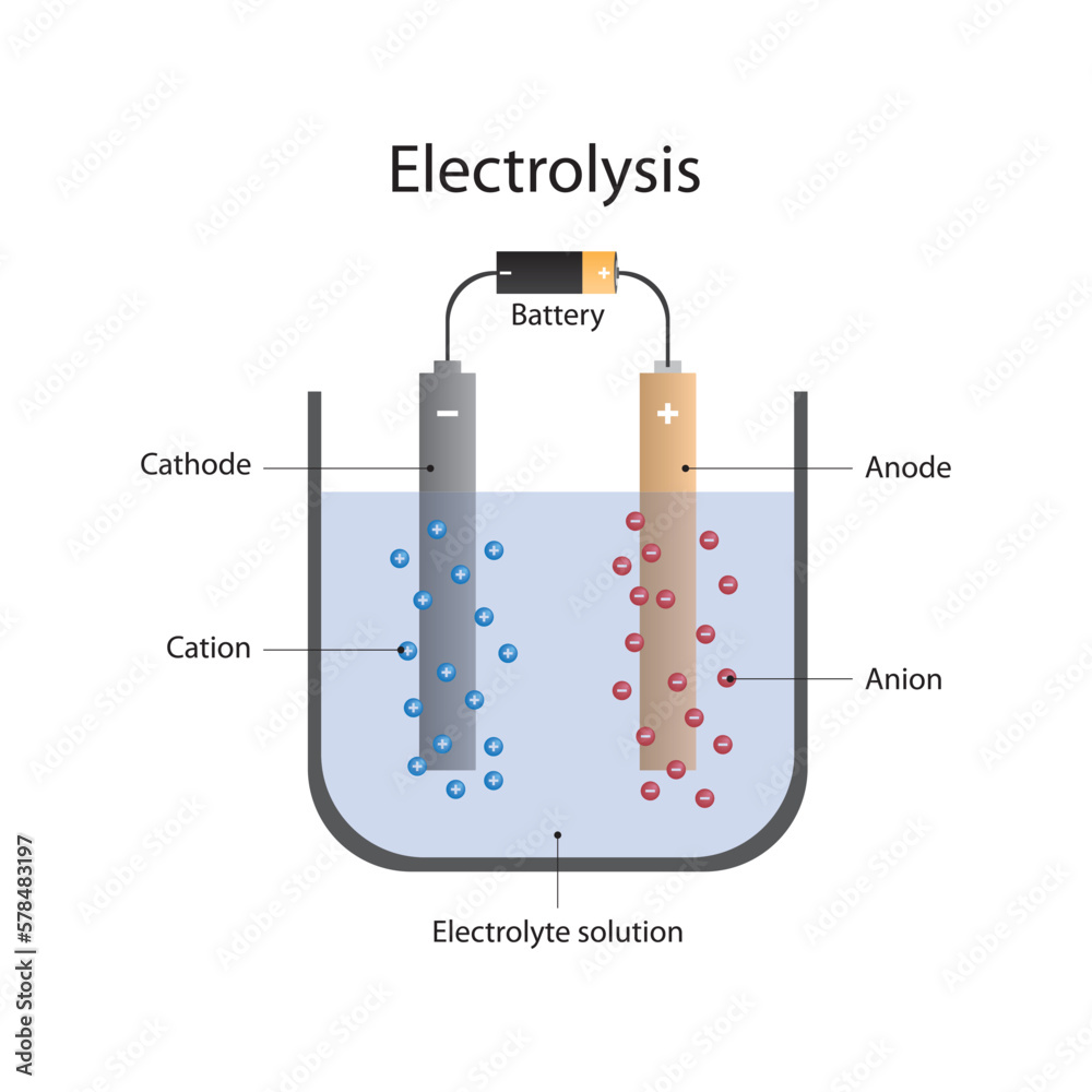 Electrolysis. The process of separating chemical compounds dissolved in ...