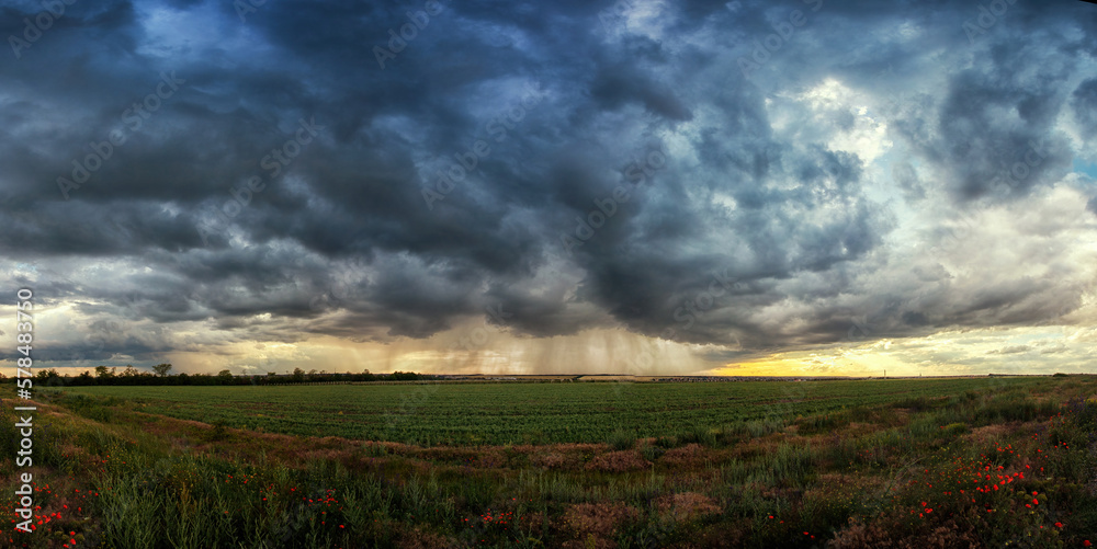 Thunderstorm over a green field with poppies in the foreground, strips of rain in the distance and the sun's rays from the clouds. panorama