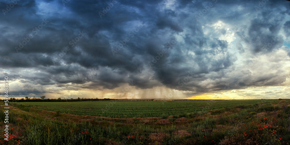 Thunderstorm over a green field with poppies in the foreground, strips of rain in the distance and the sun's rays from the clouds. panorama Thunderstorm over a green field with poppies in the foreground, strips of rain in the distance and the sun's rays from the clouds. panorama