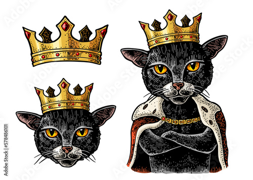 Cat king with paws crossed dressed in the mantle and crown. Vintage vector color engraving
