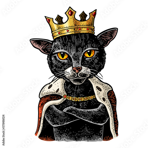 Cat king with paws crossed dressed in the mantle and crown. Vintage color engraving