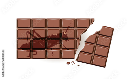 Schokolade mit Insekten - Heuschrecke, Kakerlake usw,
Vektor illustration isoliert auf weißem Hintergrund
