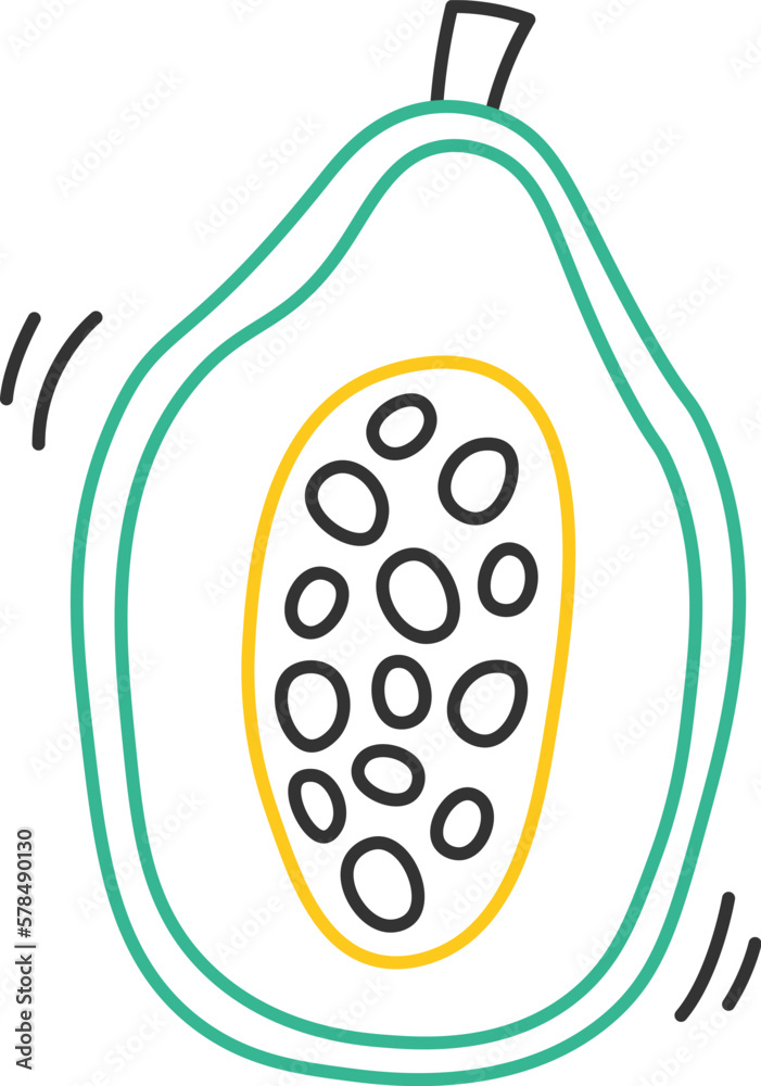 Continuous papaya line art Colored lines of fruit design element Continuous papaya line art Colored lines of fruit design element