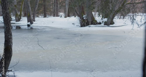 Season change transition from winter to summer or spring in forest with river