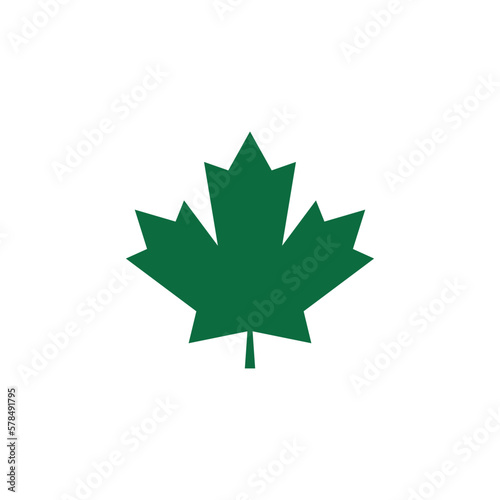 Single and detailed plane leaf. Vector