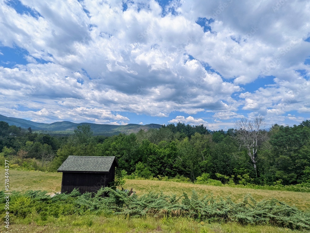 house on the hill